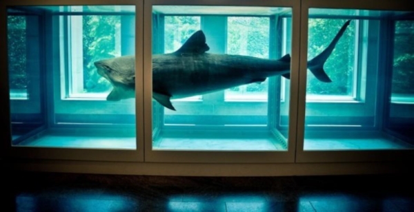  2: D. HIRST, The Physical Impossibility of Death in the Mind of Someone Living (1991, Londra, Saatchi Gallery)