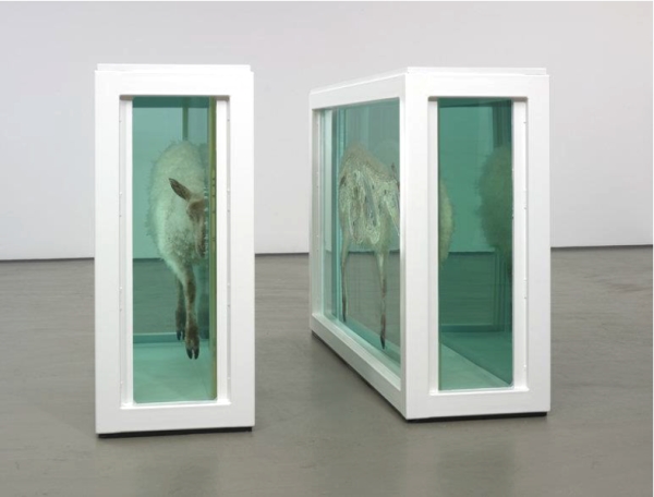 4: D. HIRST, Away from the Flock, (1994, Londra, Tate Gallery) 